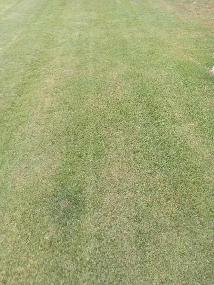 Local yard maintenance with custom design across Muscle Shoals, AL - Chris Lawn Services