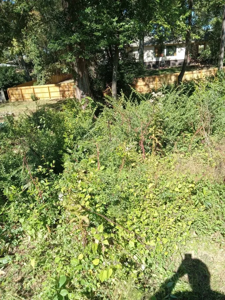 Top-rated residential landscaping experts serving Muscle Shoals, AL - Chris Lawn Services