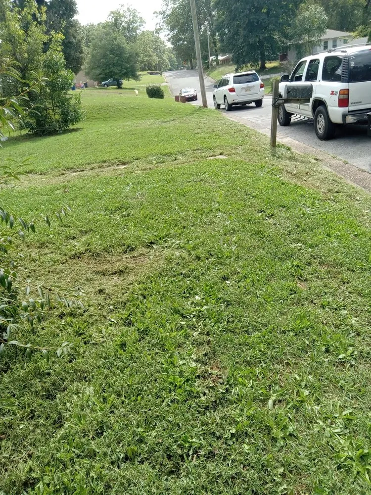 Custom yard cleanup service for homes across Muscle Shoals, AL - Chris Lawn Services