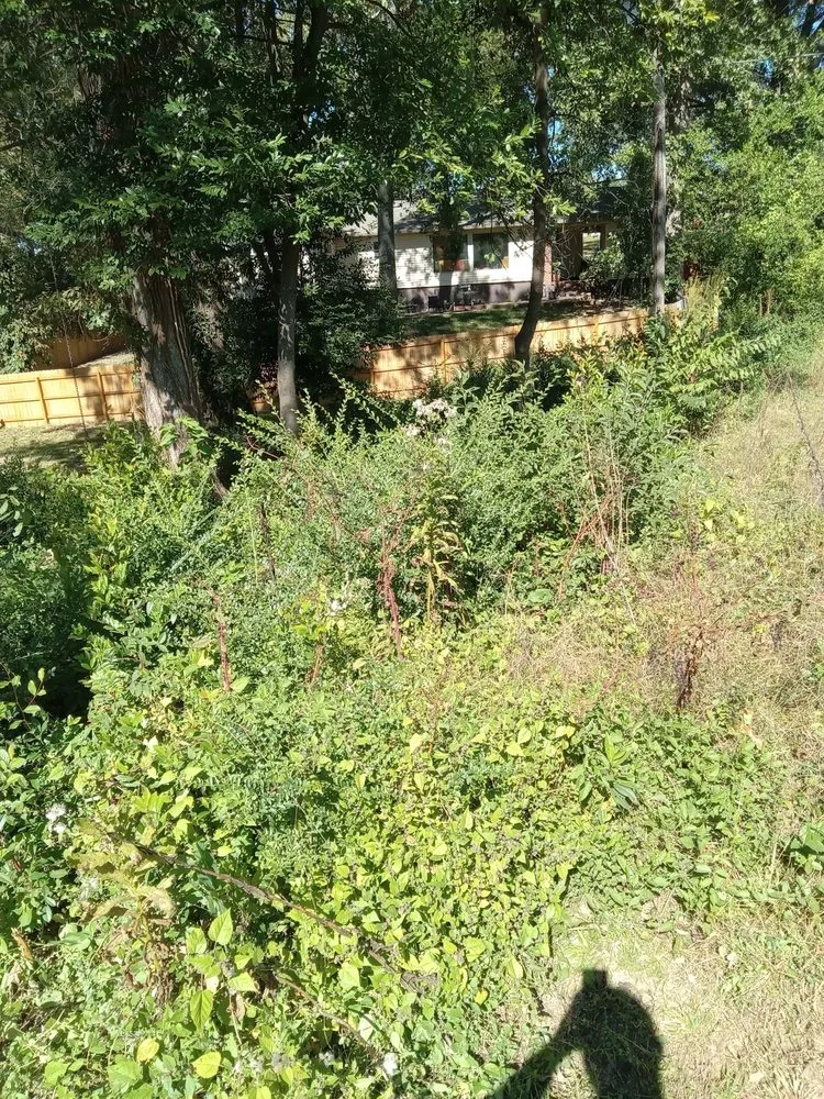 Professional residential landscaping for residential properties in Muscle Shoals, AL by Chris Lawn Services