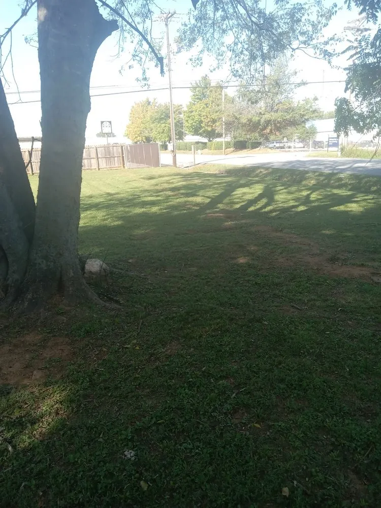 Top-rated yard cleanup service experts serving Muscle Shoals, AL - Chris Lawn Services