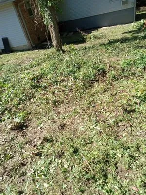 Chris Lawn Services Logo