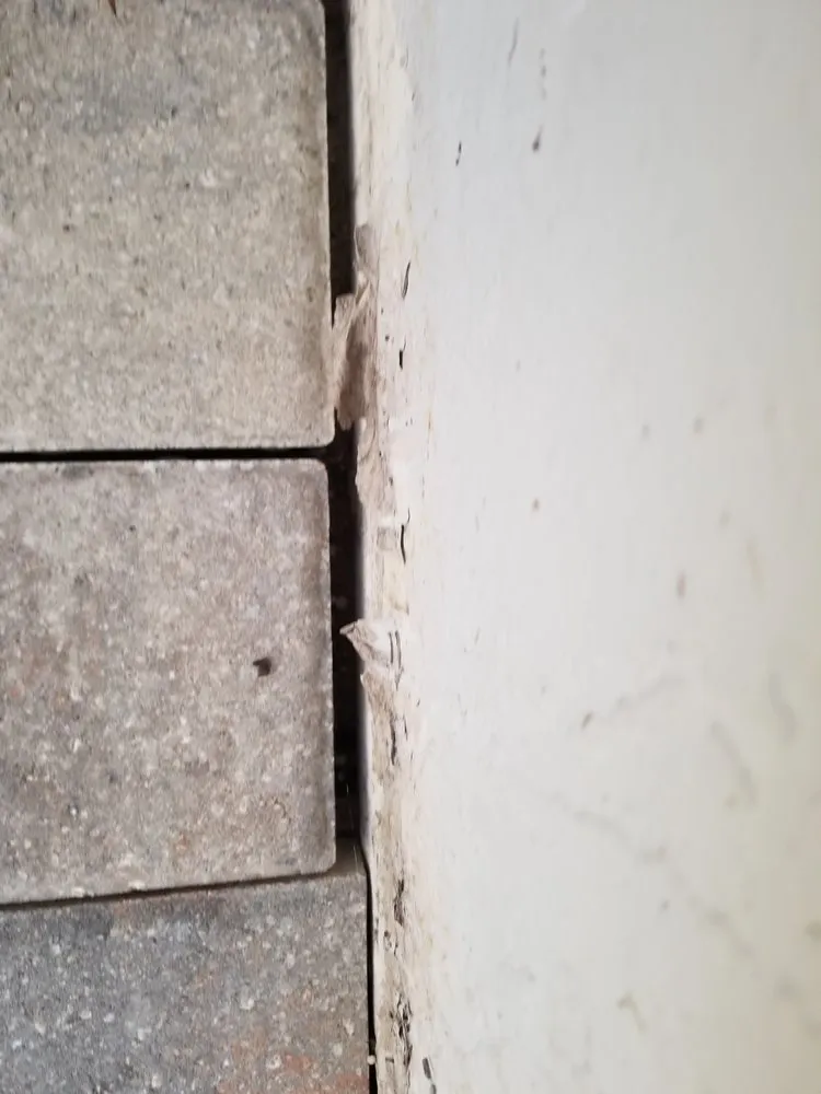 Trusted residential landscaping experts serving Belleview, FL - Chris Lietz Landscaping