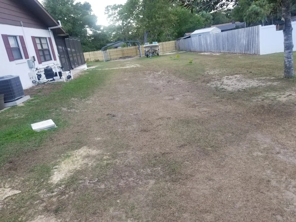 Expert lawn care service for outdoor upgrades in Belleview, FL by Chris Lietz Landscaping