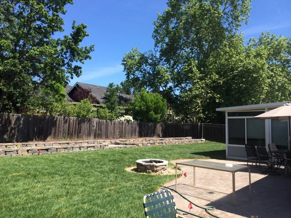 Trusted yard cleanup service in Windsor, CA - Chris Maccario Landscape