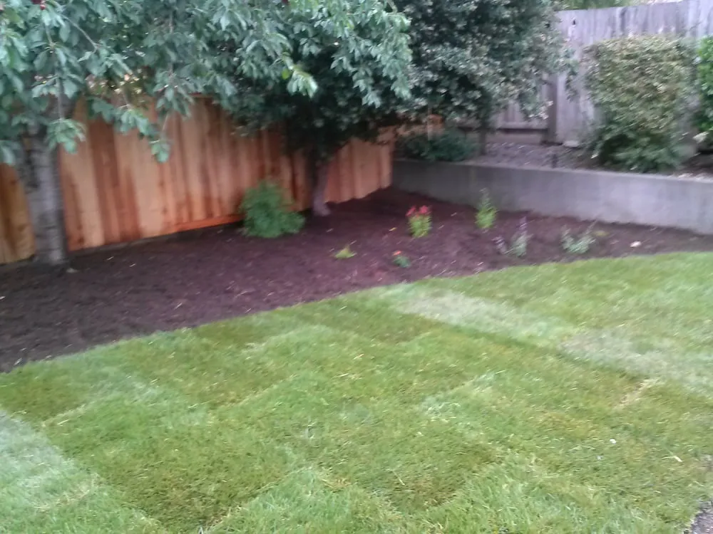 Expert lawn mowing service experts serving Windsor, CA - Chris Maccario Landscape