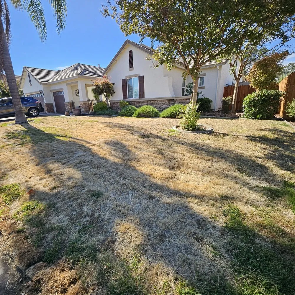 Professional lawn mowing service experts serving Fair Oaks, CA - Chris McKoy Landscape