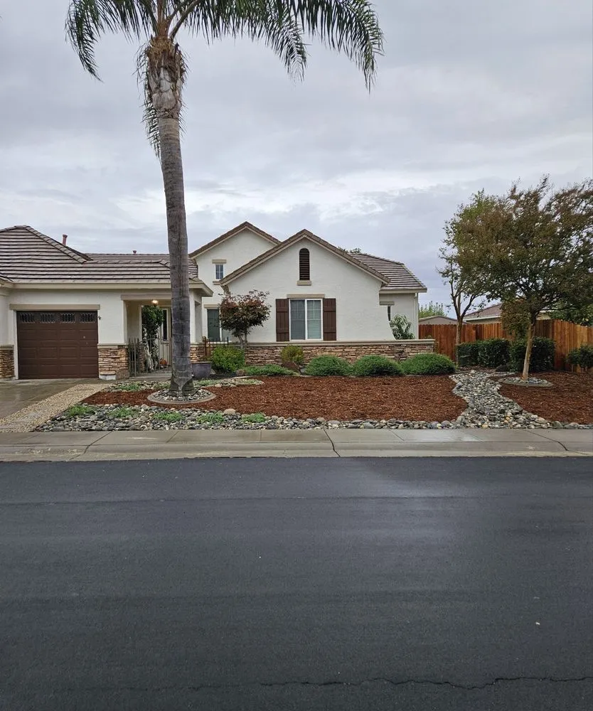 Affordable landscape design for year-round maintenance in Fair Oaks, CA by Chris McKoy Landscape