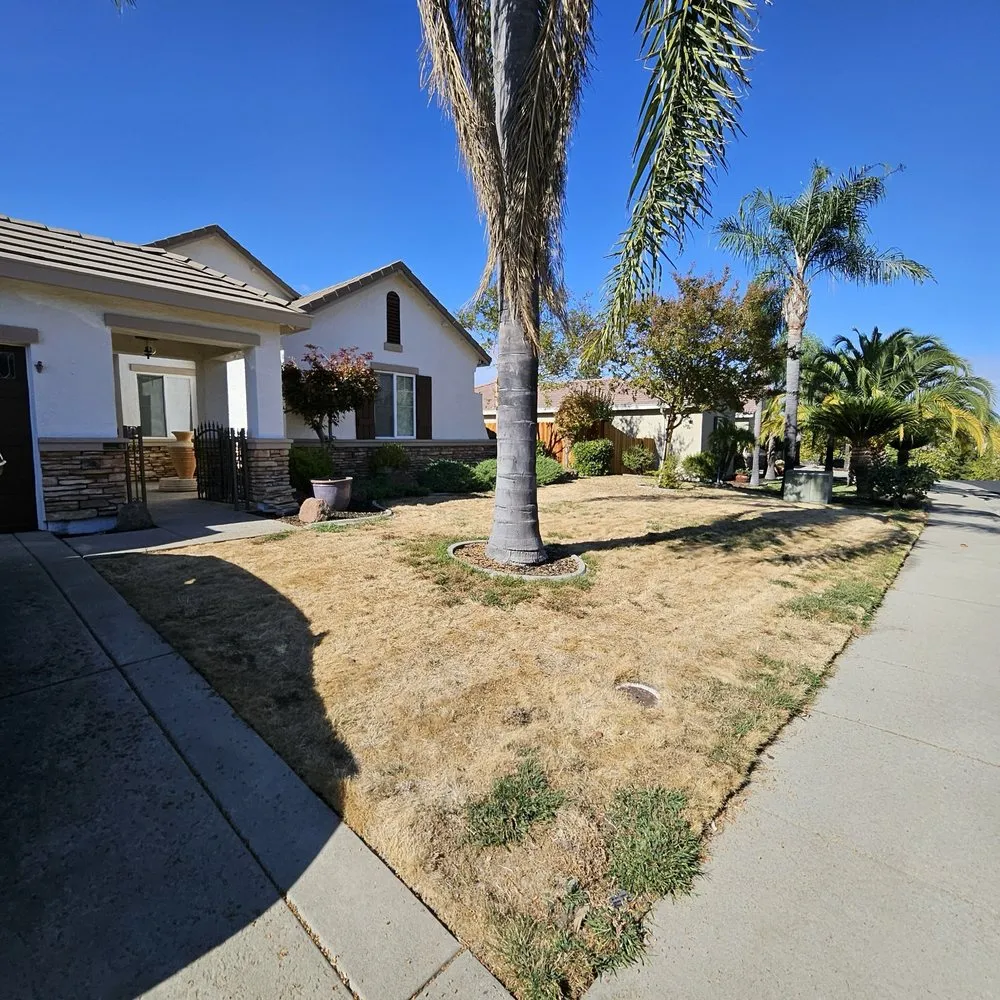 Local landscaping services experts serving Fair Oaks, CA - Chris McKoy Landscape