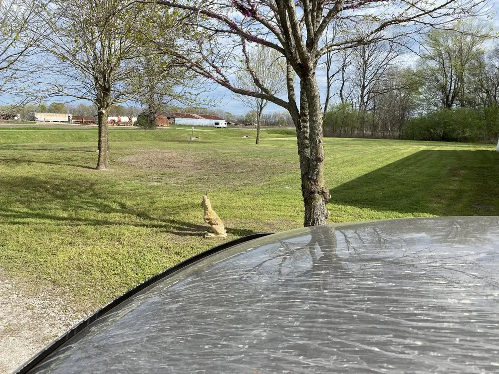 Expert lawn care service in Sondheimer, LA - Chris Mcnease