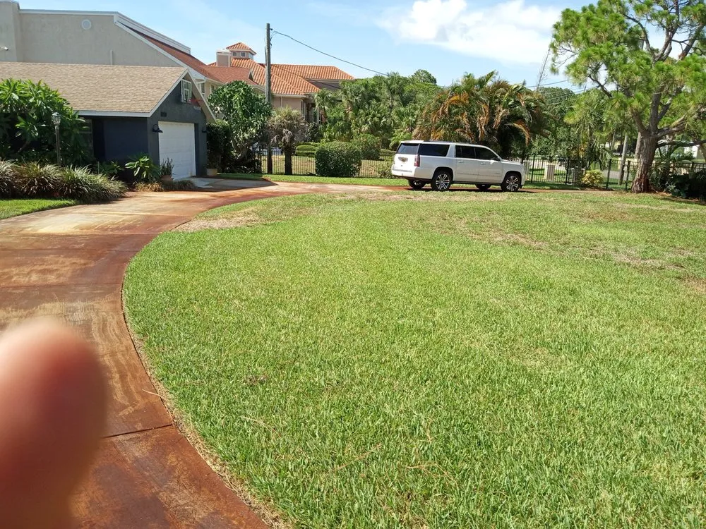 Reliable lawn mowing service for beautiful yards in New Port Richey, FL by Chris Myers Lawn & landscape