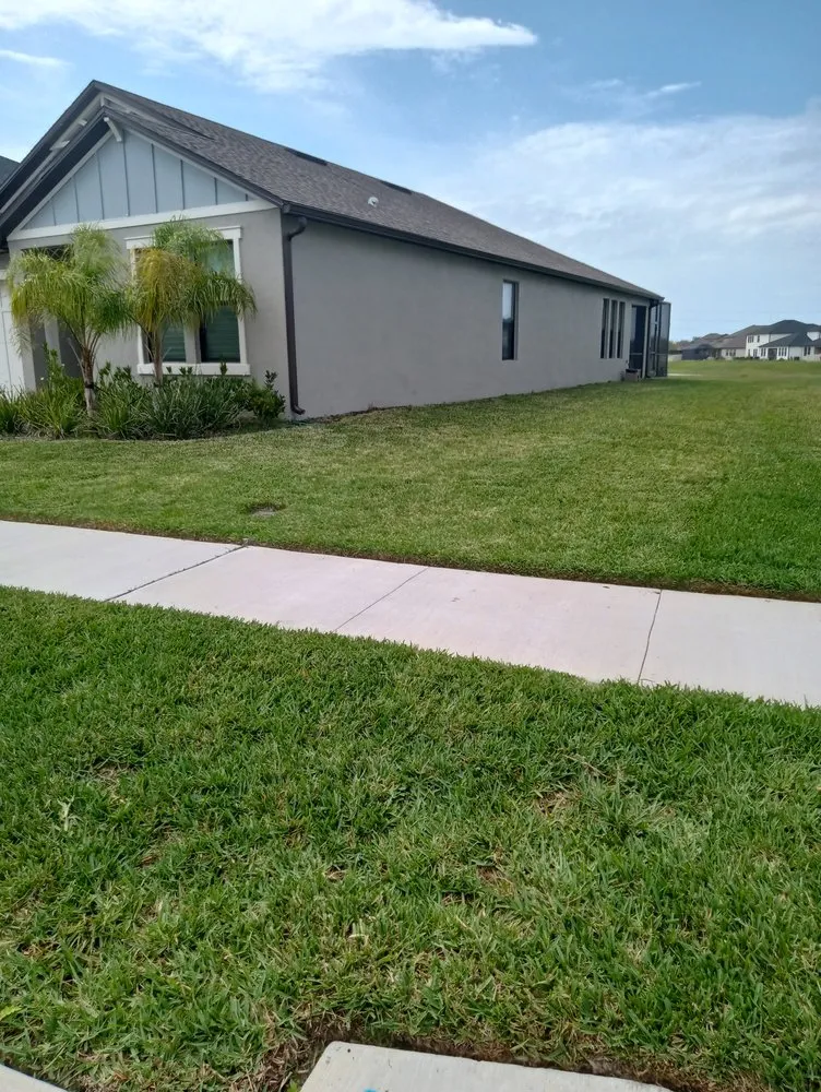 Affordable yard maintenance for year-round maintenance across New Port Richey, FL - Chris Myers Lawn & landscape