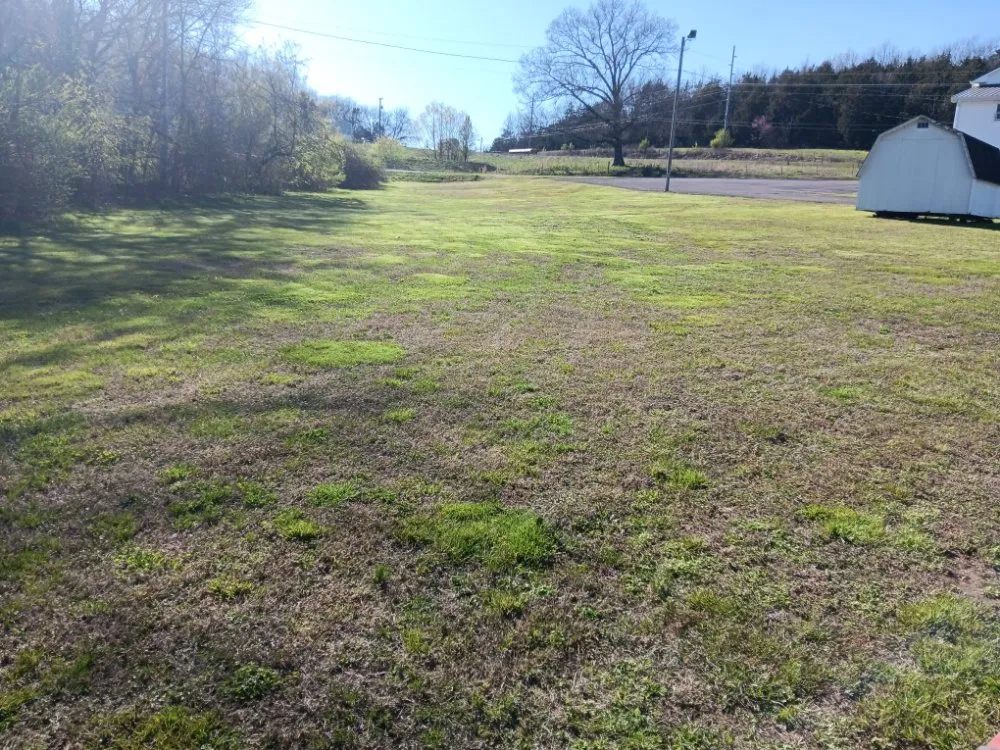 Custom yard cleanup service for beautiful yards in Taft, TN by Chris Peterson's Lawn Care & Junk Removal.