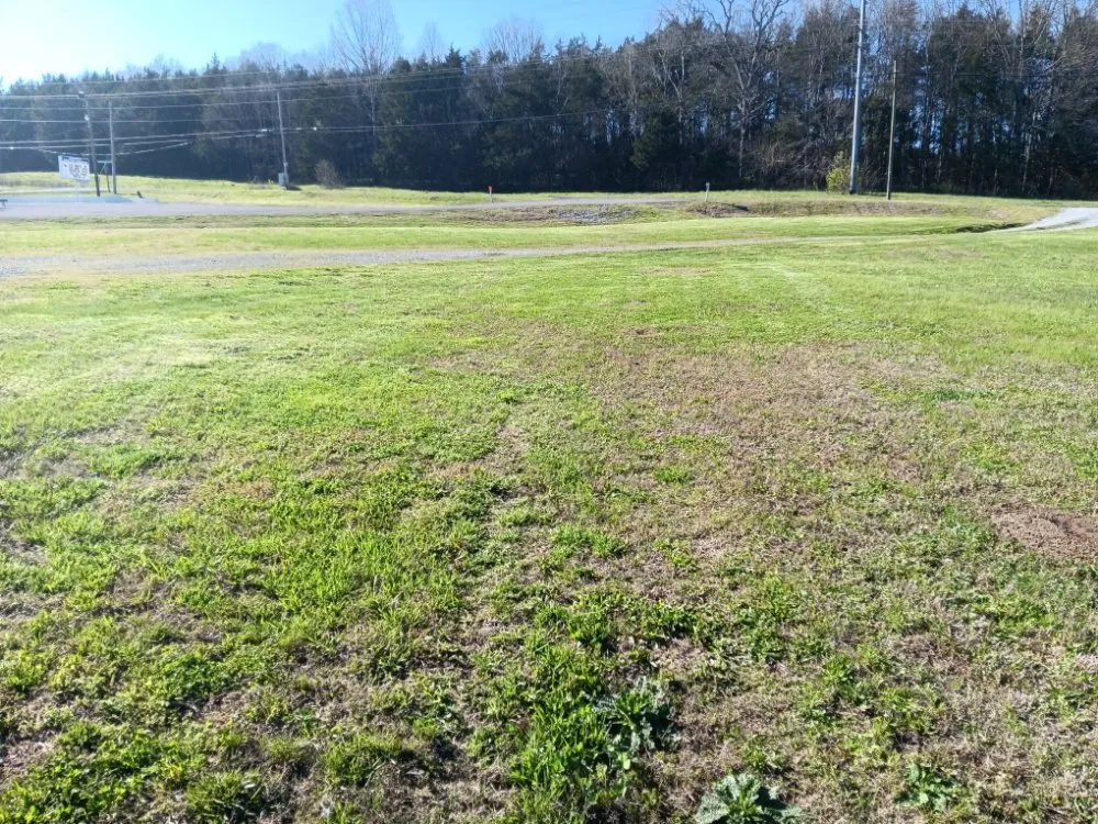 Professional landscaping services in Taft, TN - Chris Peterson's Lawn Care & Junk Removal.