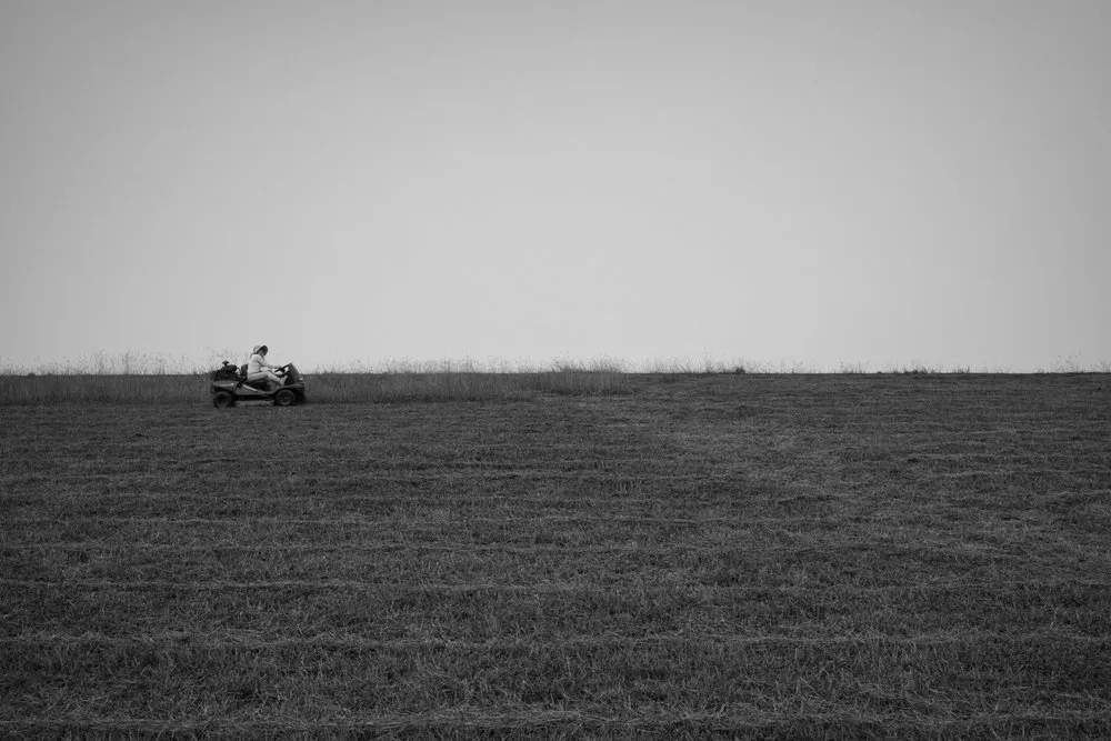 Reliable landscaping services near you in Taft, TN by Chris Peterson's Lawn Care & Junk Removal.