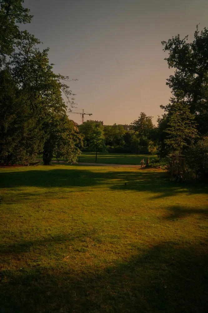 Reliable yard maintenance in Taft, TN by Chris Peterson's Lawn Care & Junk Removal.