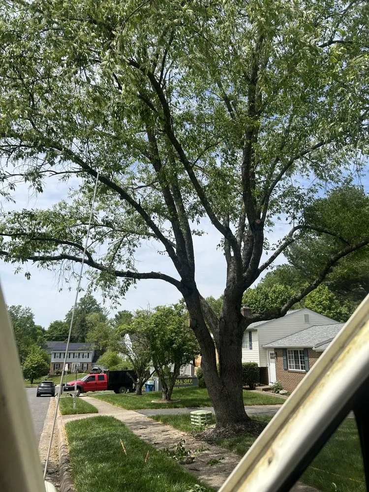 Custom garden landscaping in Front Royal, VA - Chris Pitkin’s Tree And Landscape