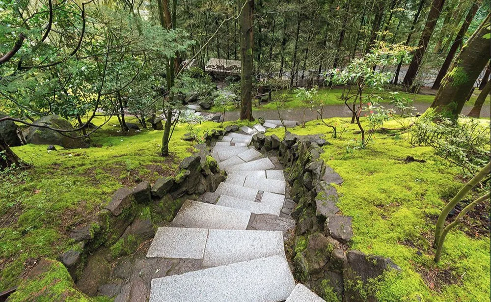 Top-rated landscaping services in Winder, GA by Chris Savage Lawn Care