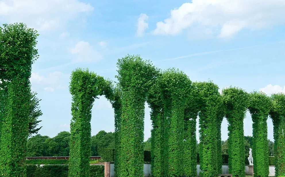 Custom garden landscaping in Winder, GA by Chris Savage Lawn Care