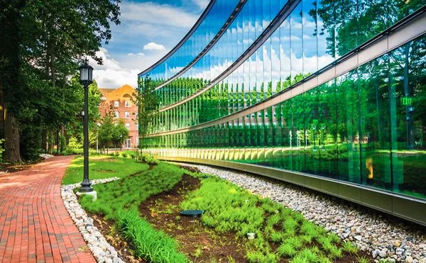 Chris Savage Lawn Care Logo