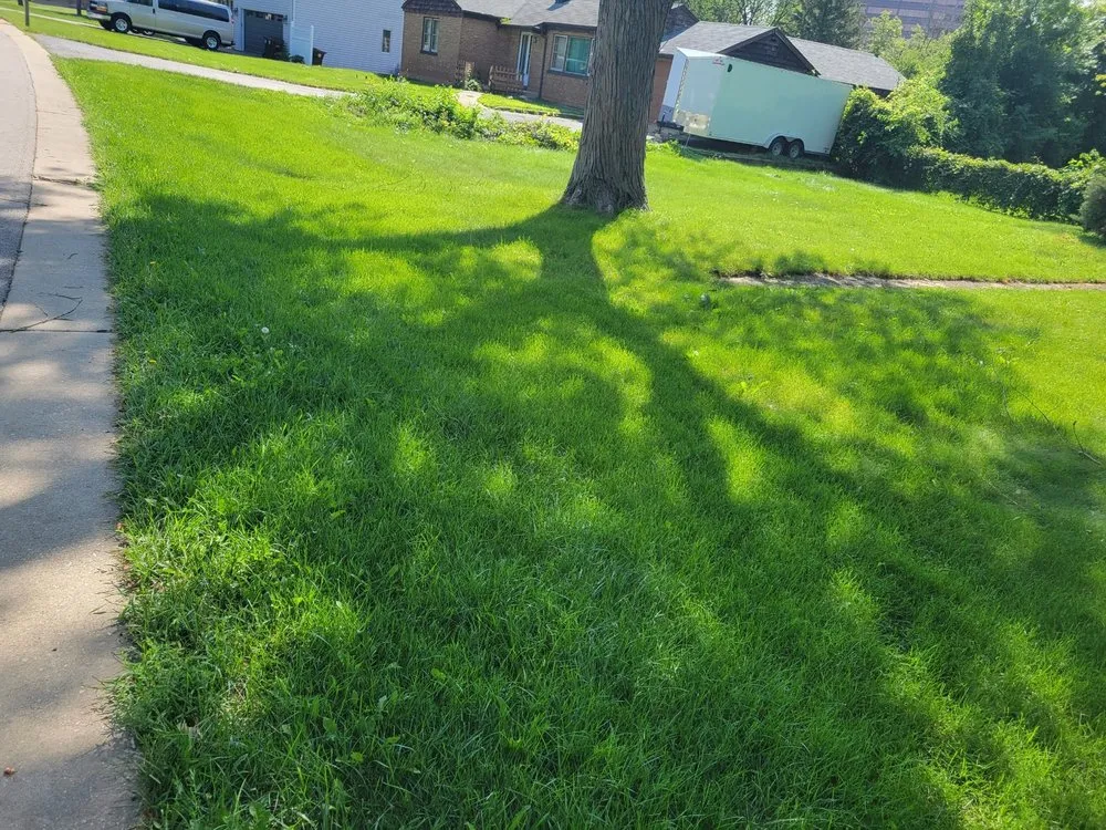 Affordable yard cleanup service with custom design across Chicago, IL - Chris Scaping