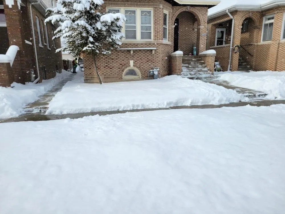 Local yard maintenance in Chicago, IL - Chris Scaping