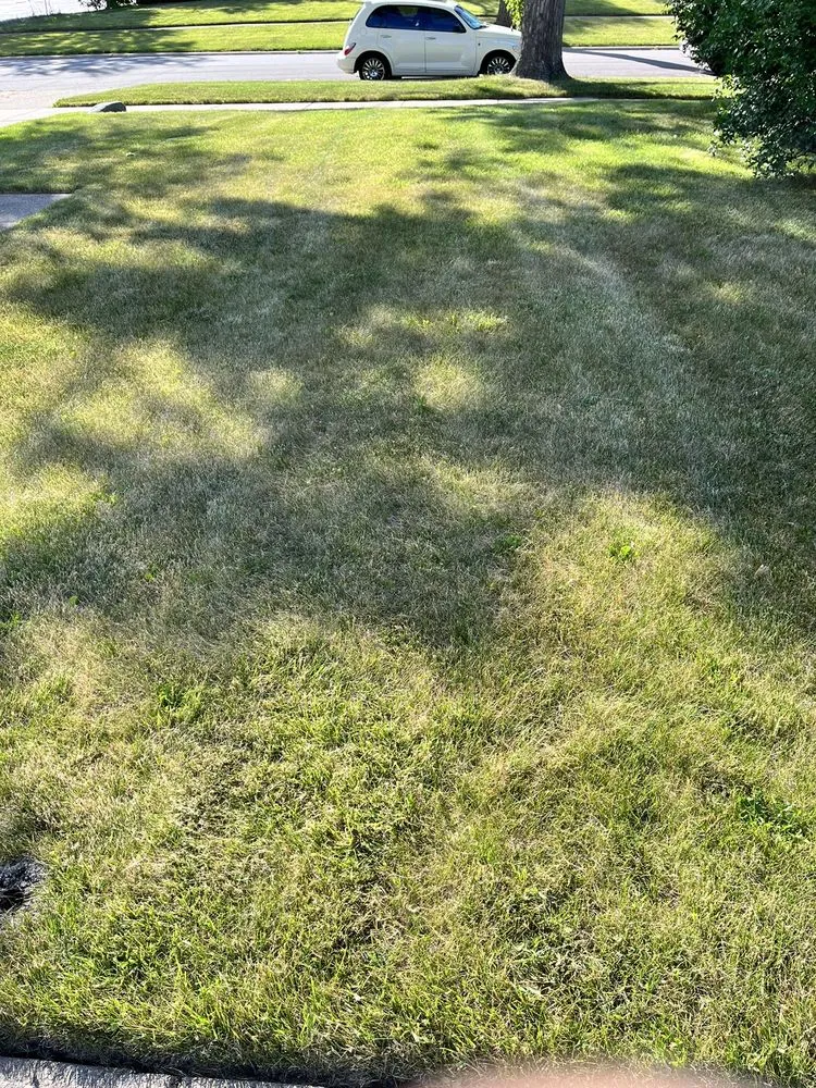 Expert lawn care service near you across Chicago, IL - Chris Scaping