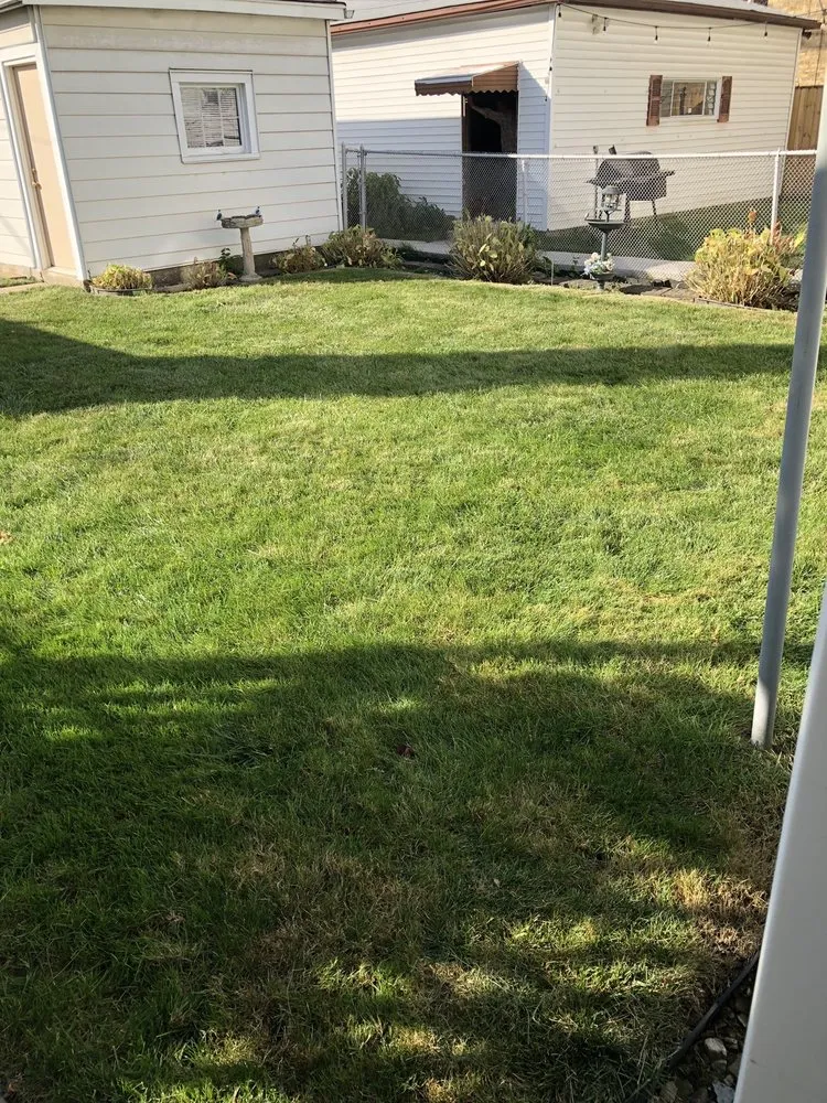 Affordable lawn care service for year-round maintenance across Chicago, IL - Chris Scaping