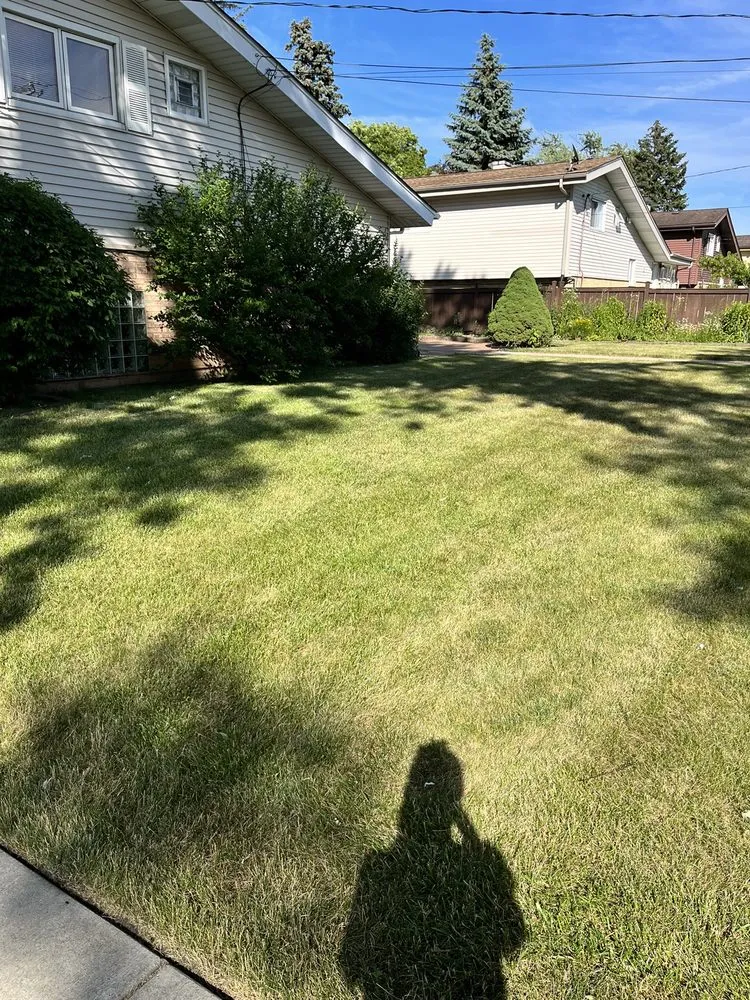 Top-rated yard cleanup service in Chicago, IL by Chris Scaping