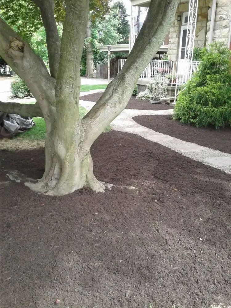 Reliable landscape design for year-round maintenance across New Brighton, PA - Chris Schoedel - Lawn Care & Landscaping