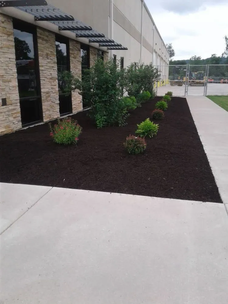 Trusted yard cleanup service for homes in New Brighton, PA by Chris Schoedel - Lawn Care & Landscaping