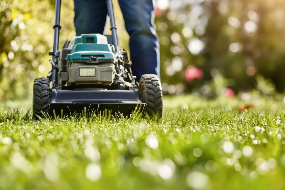 Custom yard cleanup service for outdoor upgrades in New Brighton, PA by Chris Schoedel - Lawn Care & Landscaping