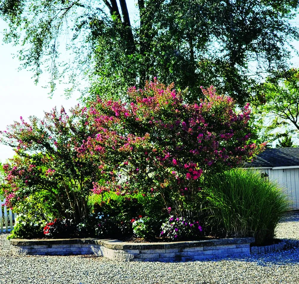 Local lawn mowing service in Brick Township, NJ - Chris The Lawn Guy