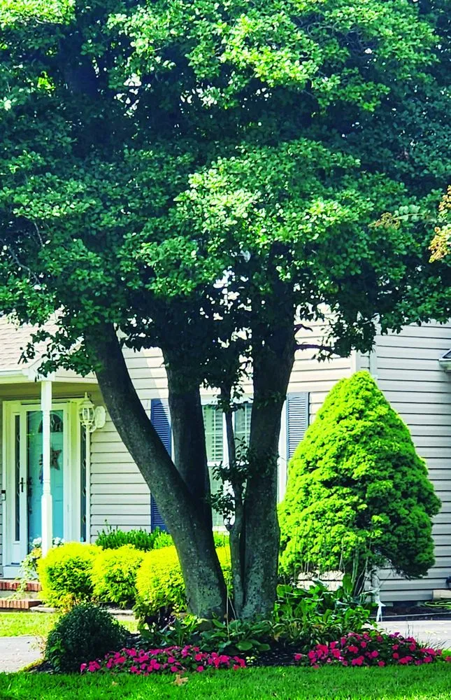 Trusted lawn mowing service for homes across Brick Township, NJ - Chris The Lawn Guy