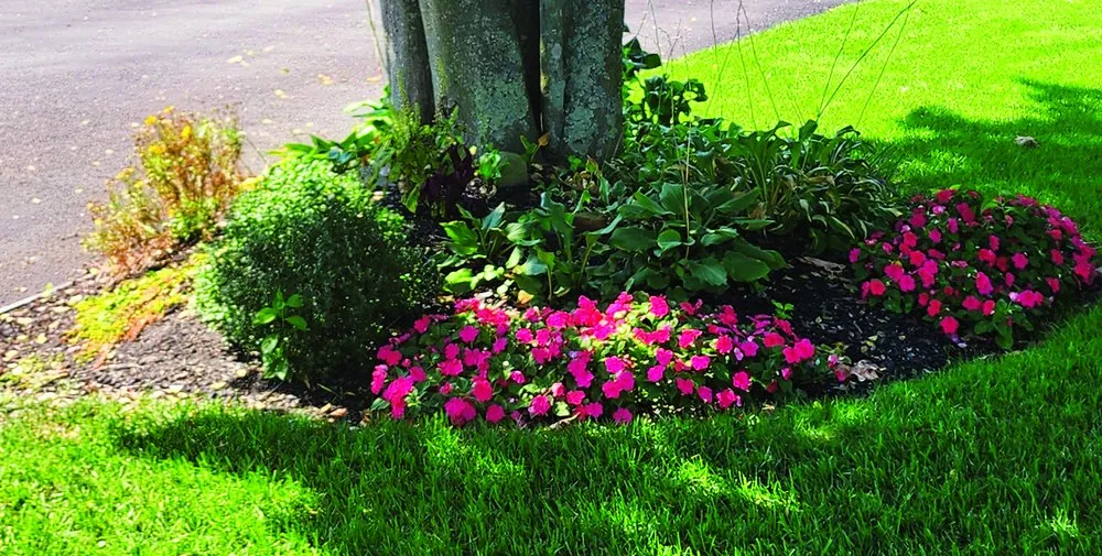 Reliable landscape installation in Brick Township, NJ - Chris The Lawn Guy
