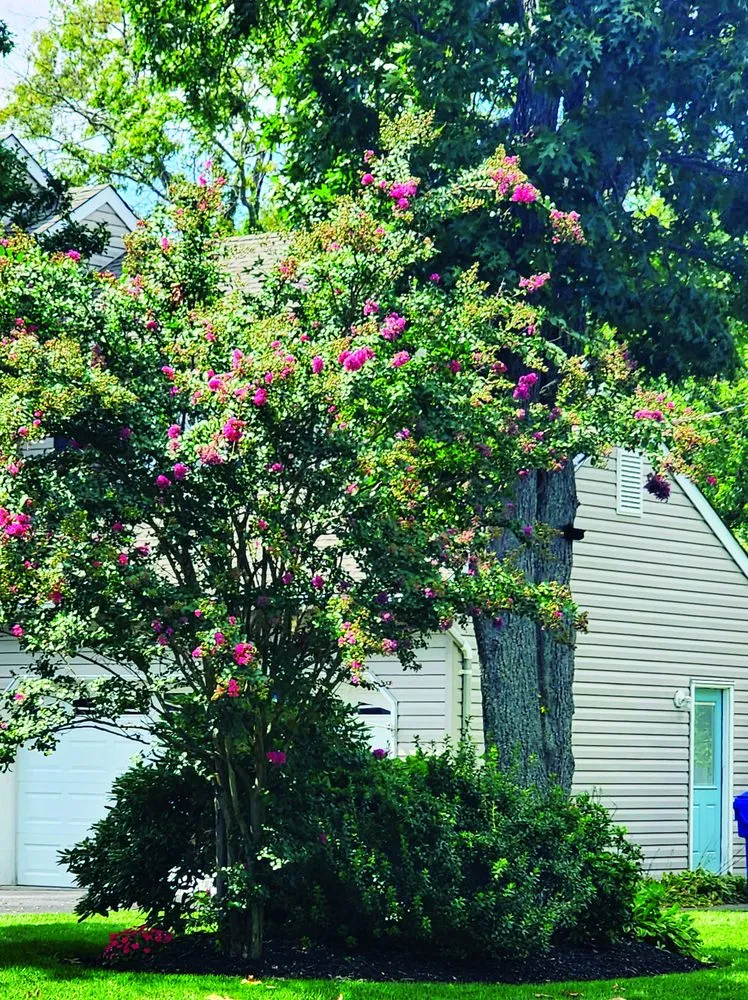 Top-rated landscape design for year-round maintenance in Brick Township, NJ by Chris The Lawn Guy