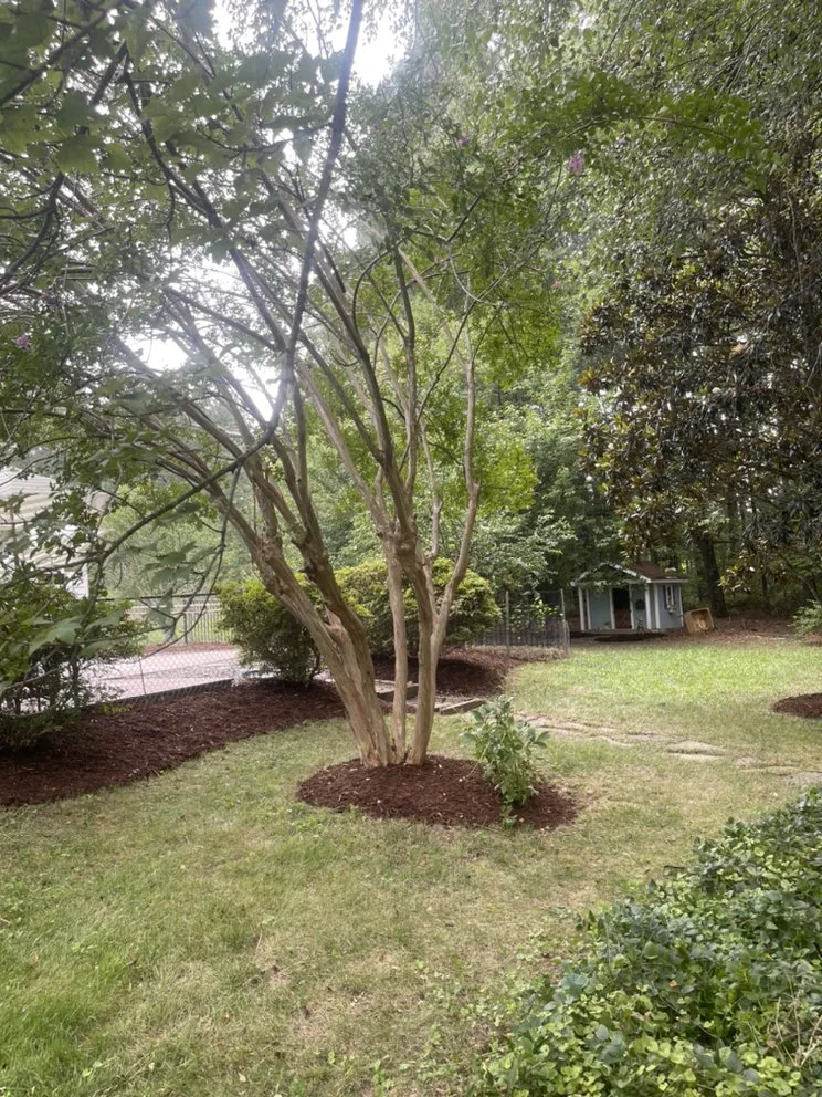 Trusted yard cleanup service in Oxford, NC - Chris the Local Landscaper