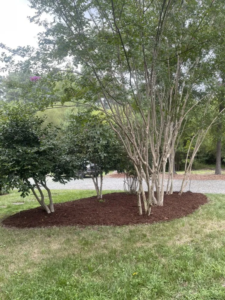 Top-rated outdoor landscaping for homes in Oxford, NC by Chris the Local Landscaper