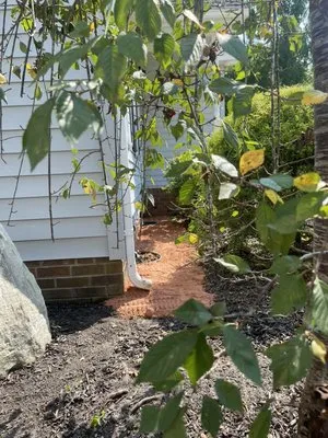 Chris the Local Landscaper Logo