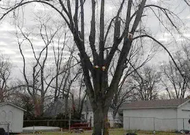 Trusted landscape design in Brookville, OH - Chris' Tree Care & Property Maintenance