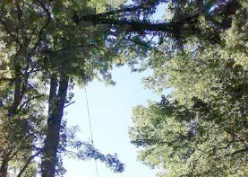 Expert yard maintenance in Brookville, OH by Chris' Tree Care & Property Maintenance