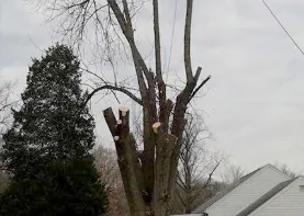 Custom yard cleanup service for residential properties across Brookville, OH - Chris' Tree Care & Property Maintenance