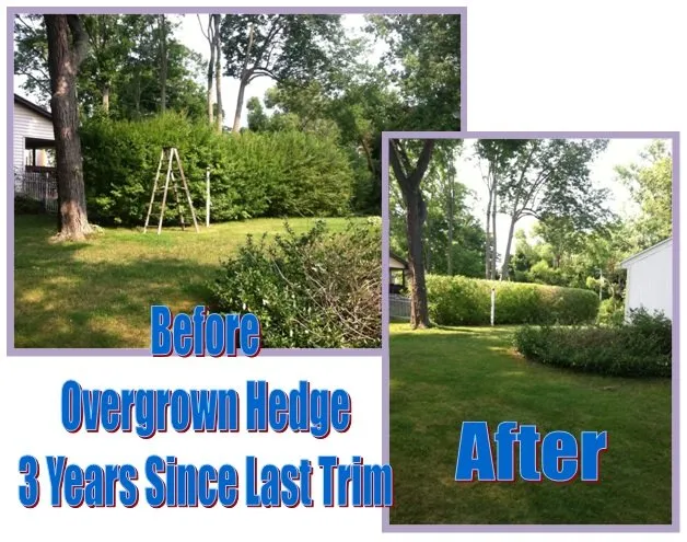 Top-rated residential landscaping with custom design across Spencerport, NY - Chris Tree Fir's Tree Care