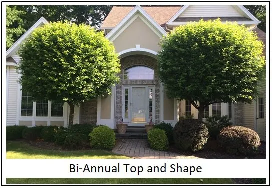 Custom landscape design in Spencerport, NY by Chris Tree Fir's Tree Care