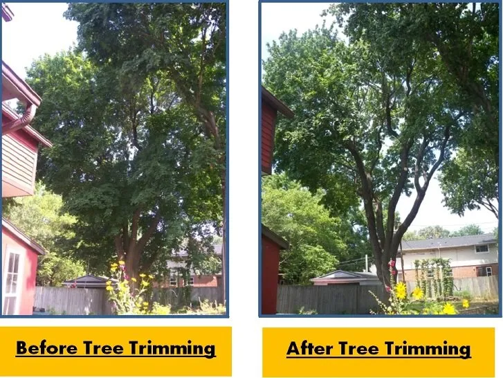 Affordable landscape installation for residential properties across Spencerport, NY - Chris Tree Fir's Tree Care