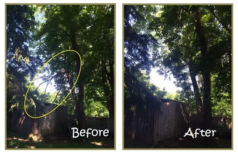Custom landscape installation in Spencerport, NY by Chris Tree Fir's Tree Care