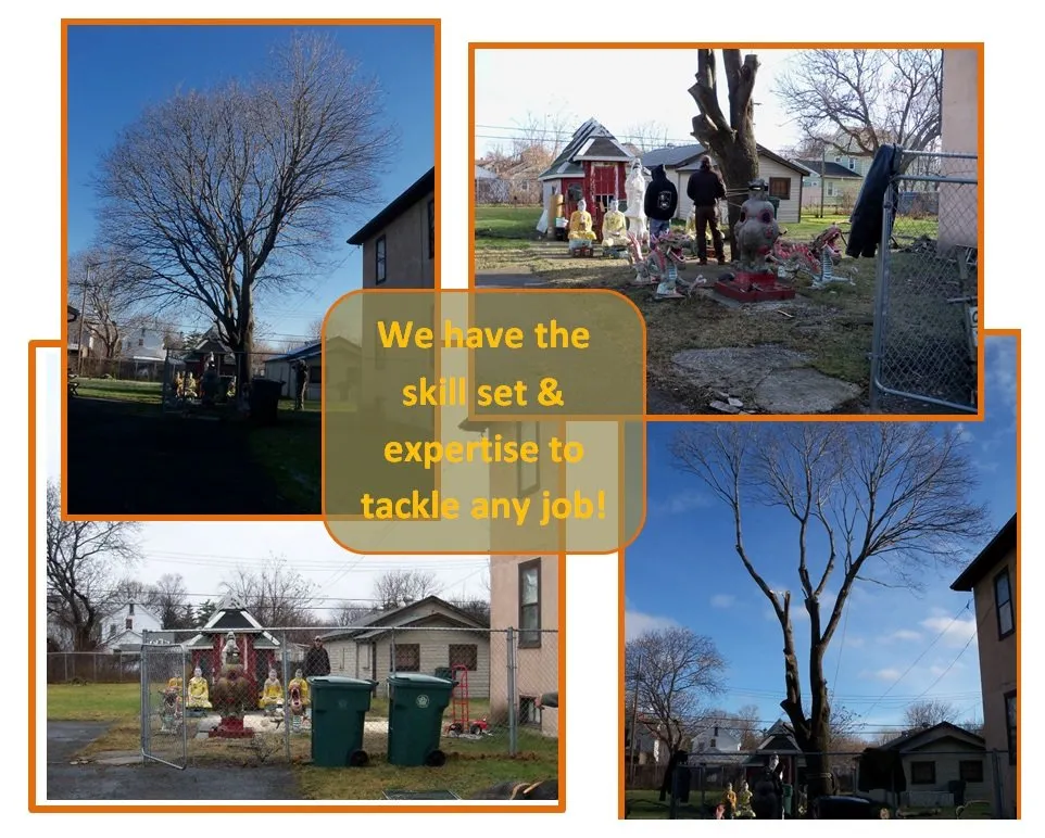 Professional lawn mowing service experts serving Spencerport, NY - Chris Tree Fir's Tree Care