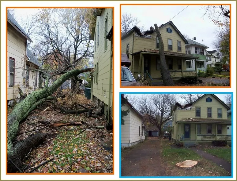 Top-rated landscape design in Spencerport, NY by Chris Tree Fir's Tree Care