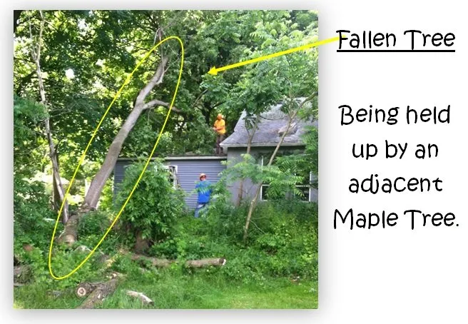 Top-rated garden landscaping in Spencerport, NY - Chris Tree Fir's Tree Care