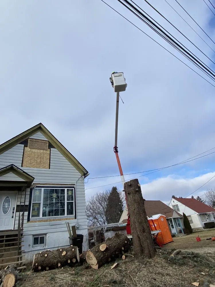 Affordable landscaping services in Milwaukee, WI by Chris Tree service